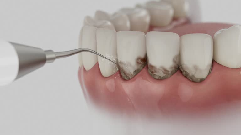 Reliable Dental contractor in Stanton, KY by Dentist Open Now
